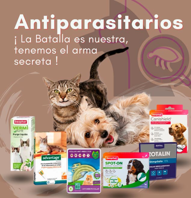 antiparasitarios para gatos y perros