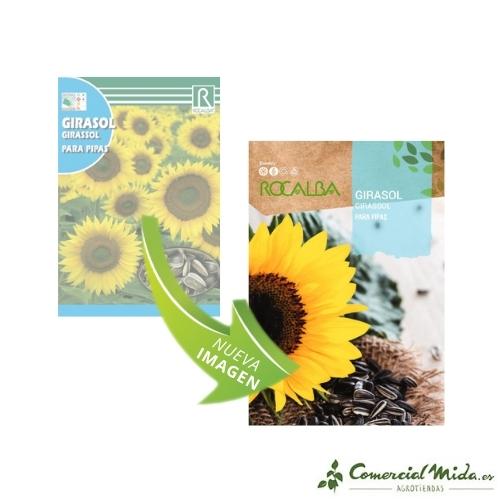 ROCALBA Sunflower Seeds for Pipes – Comercial Mida