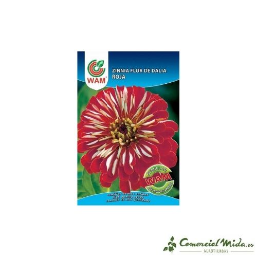 Semillas WAM de Zinnia Gigante Flor de Dalia 0,9 gr – Comercial Mida