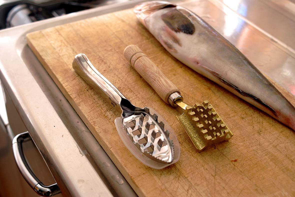 A Must Item for Cooking Fish - Fish Scaler - Globalkitchen Japan