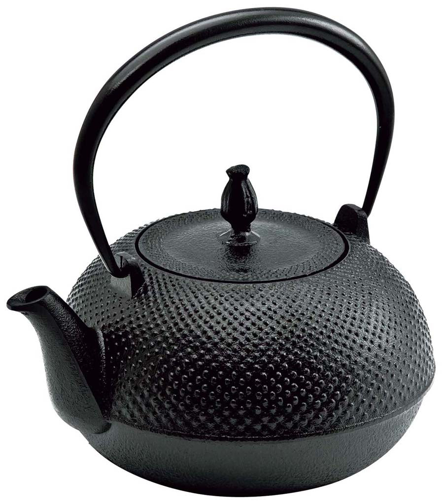 Tetu Nambu Cast Iron Teapot – mogutable
