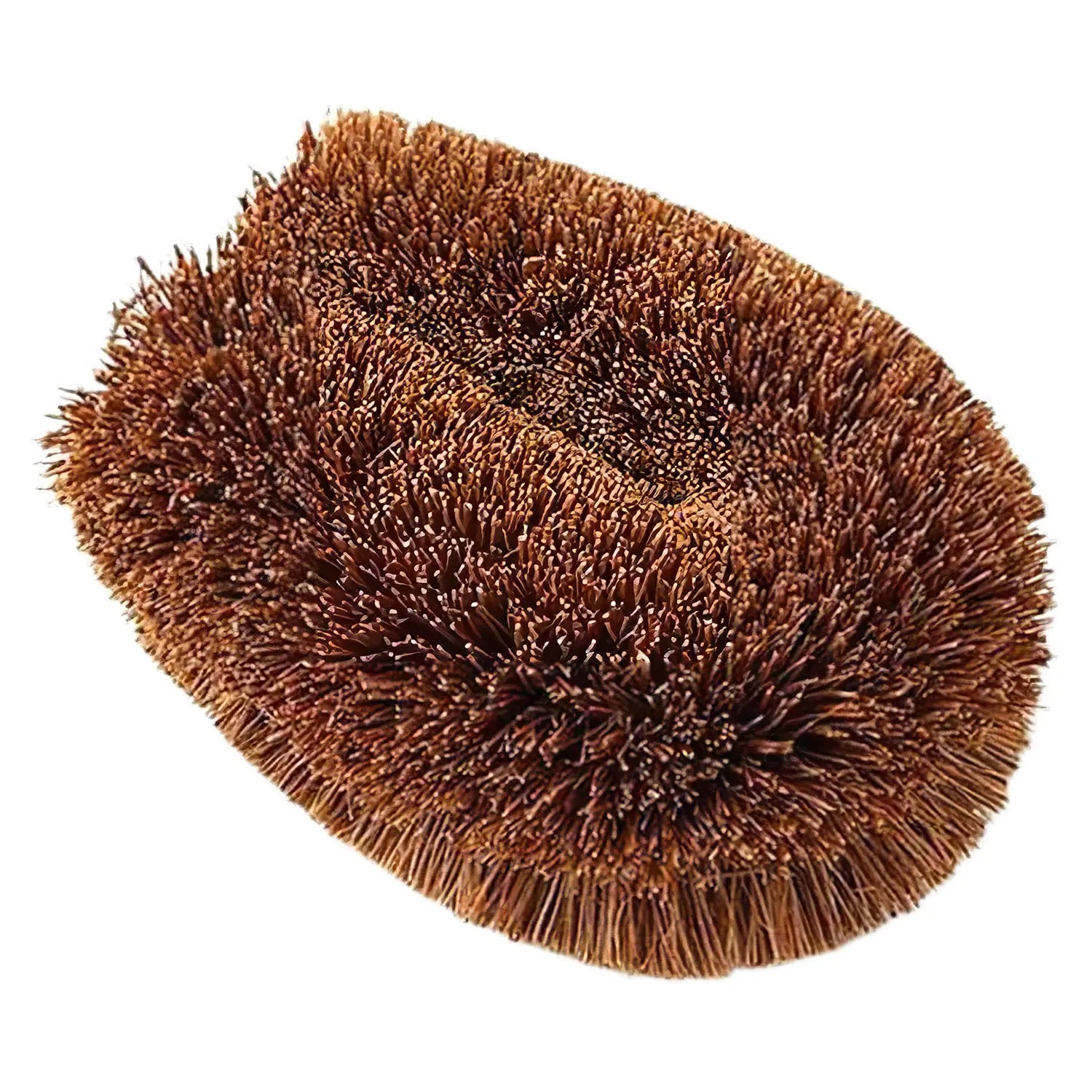 https://cdn.shopify.com/s/files/1/1610/3863/products/KamenokoTawashiTheOriginalNaturalPalmFiberDishScrubber-Small_1_1600x.webp?v=1665470054