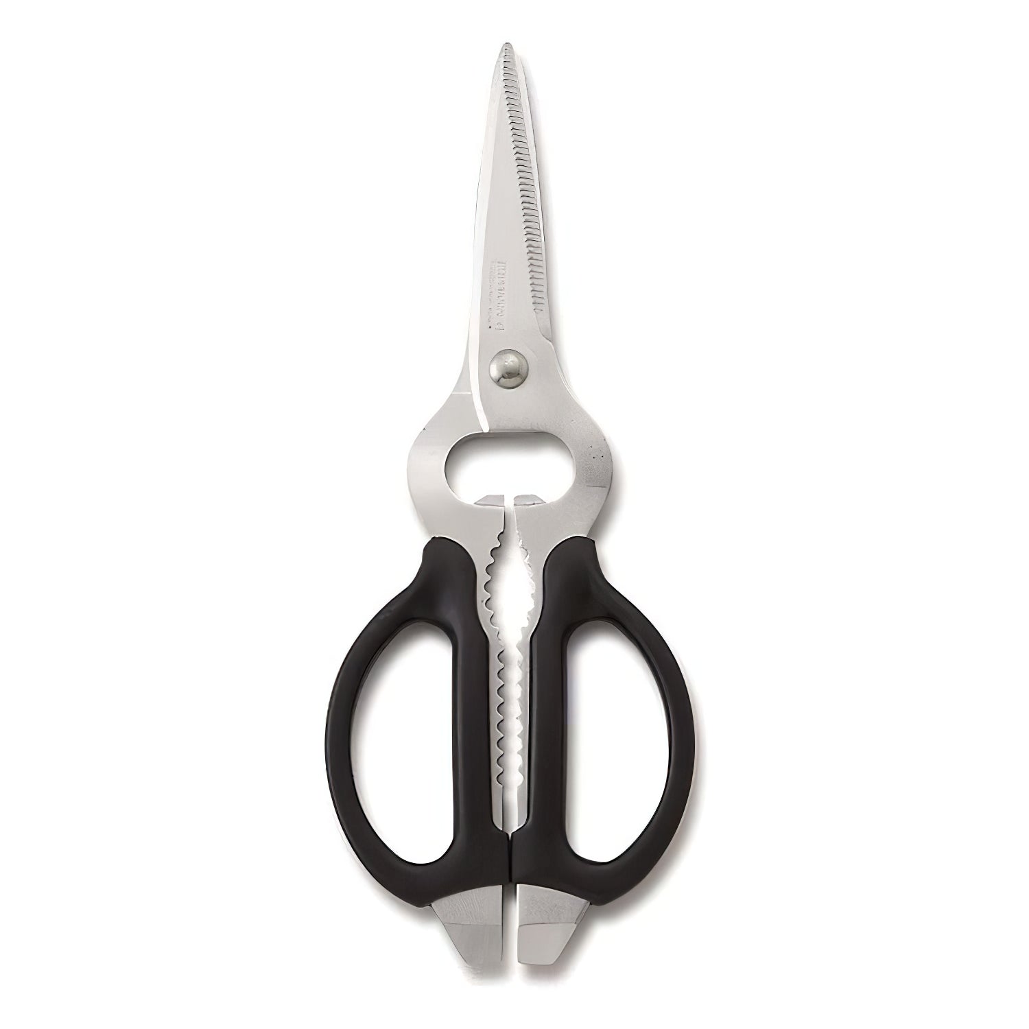 CANARY Stainless Steel Take-Apart Kitchen Scissors - Globalkitchen