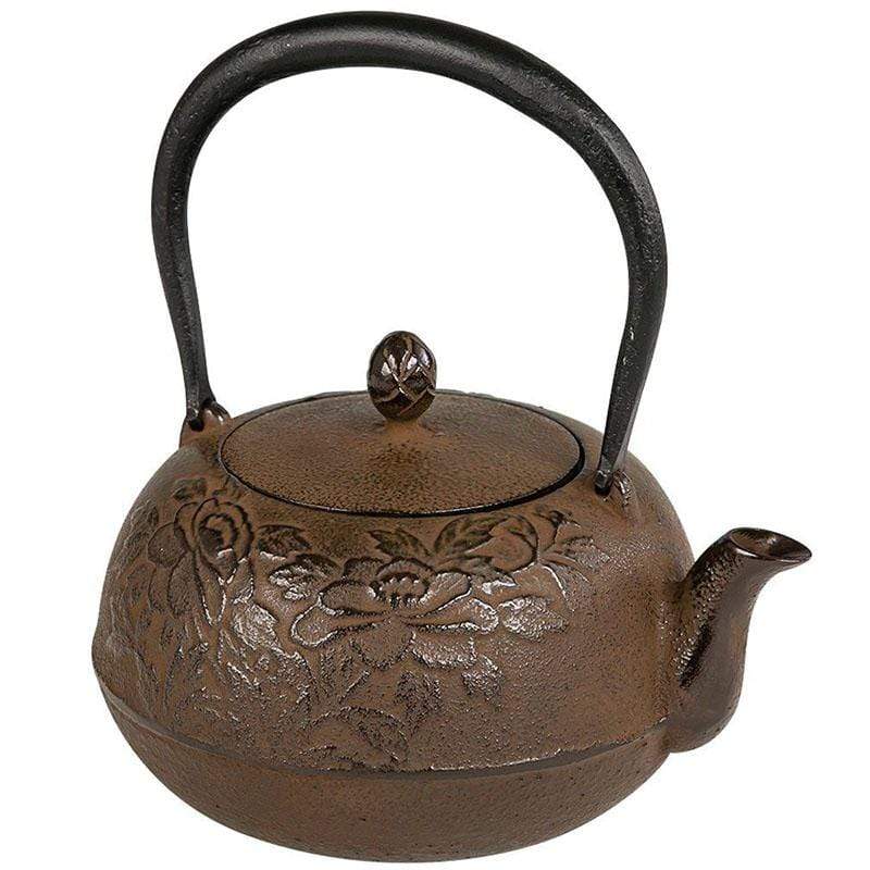 Ikenaga Ironworks: Nambu Cast Iron Tea Kettle Nozomi - Induction Heati –