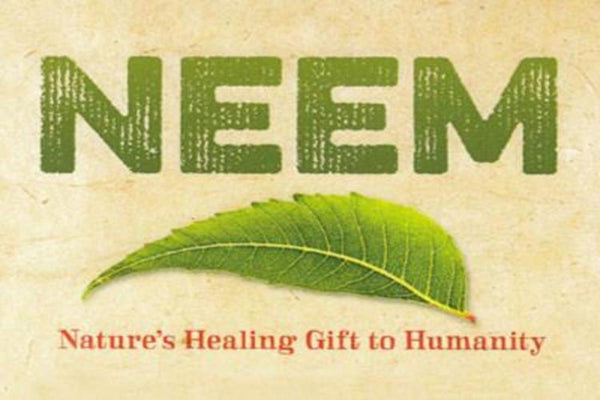 Indian Grocery Store - Neem - Singal's