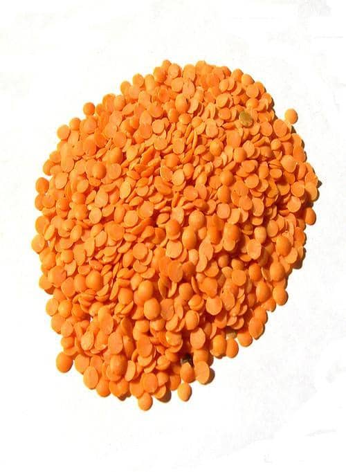 Indian Grocery Store - Red Lentils Masoor Dal (2 lbs) - Singal's