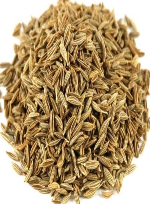 Indian Grocery Store - Zeera Cumin Seeds (100 gm) - Singal's