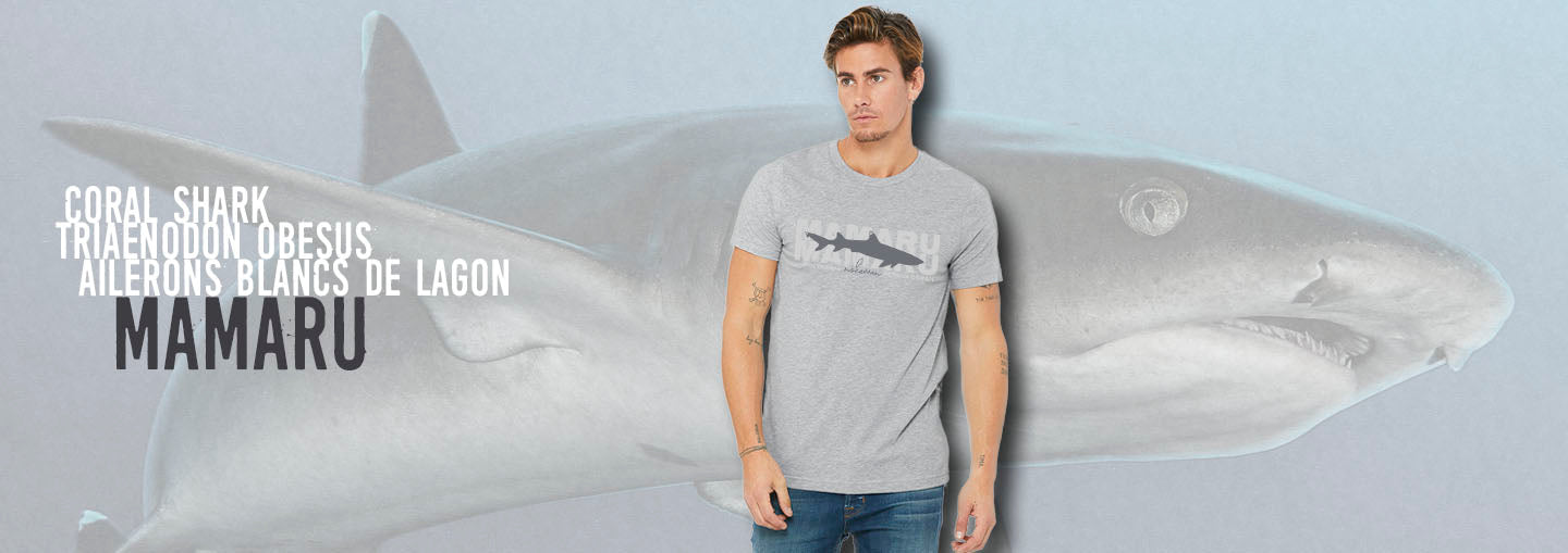 Requin corail