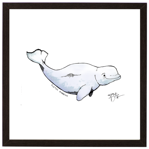 beluga-whale-print-fletchrobbins