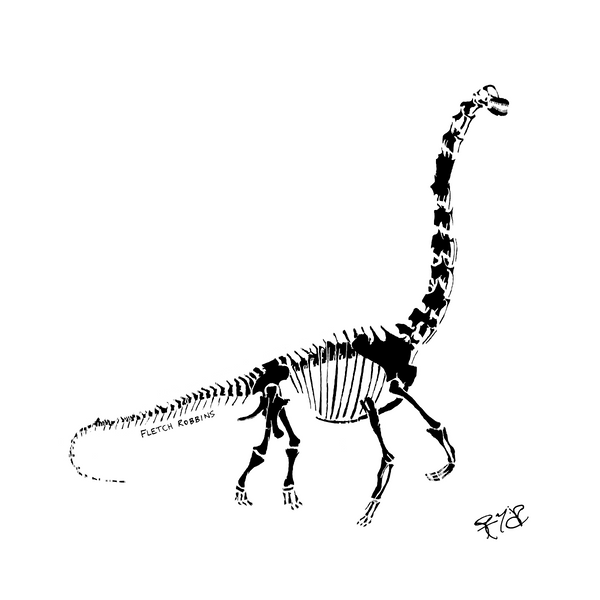 Brachiosaurus Fossil Print – fletchrobbins