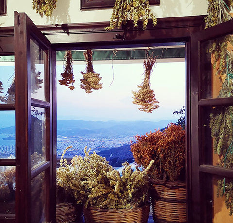 pelion herbs