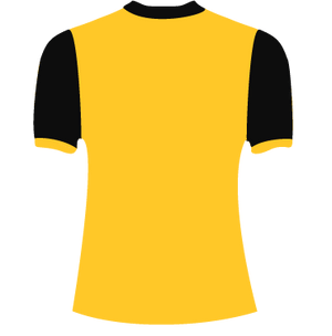 Buy Official Pro Kabaddi Team Telugu Titans Jerseys Online | GalaxT