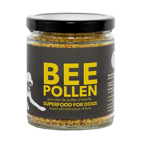 does bee pollen help dogs with allergies