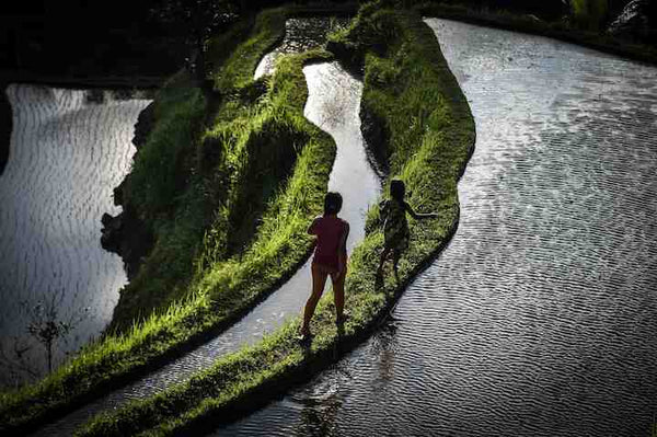 Bali Children by Andy Scaysbrook photographic print