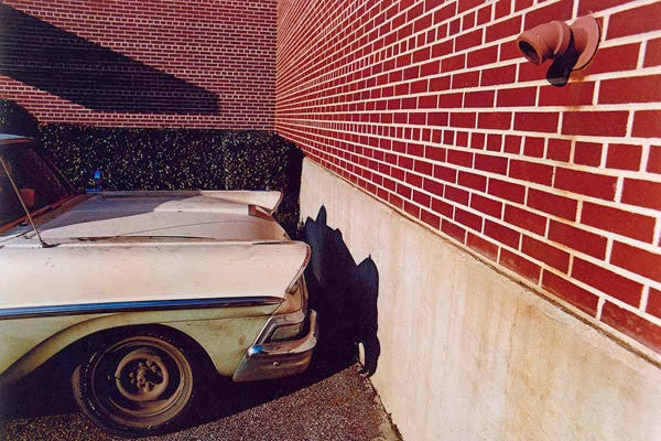 Photo by William Eggleston