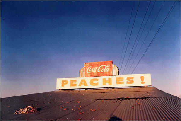 Photo by William Eggleston