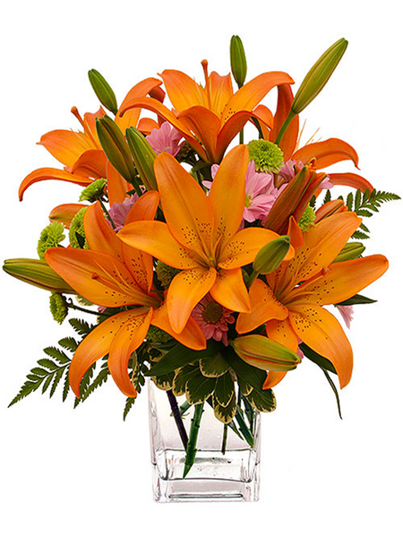 Orange Lily and Daisy Arrangement | Next Day Flower Delivery – Somerset