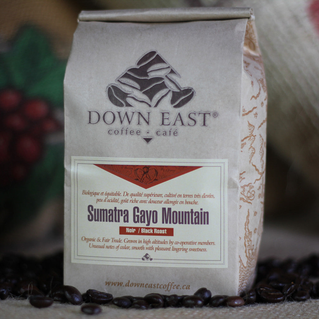 gayo sumatra