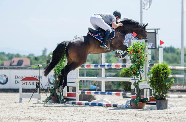 Just Riding Ohio Show Jumper 1