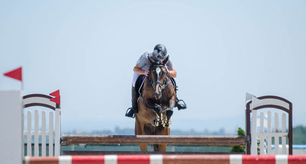 Just Riding Ohio Show Jumper 3