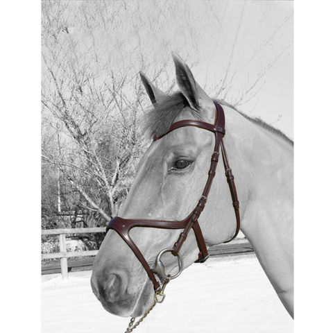 Dy'on X-Fit Anatomic Bridle