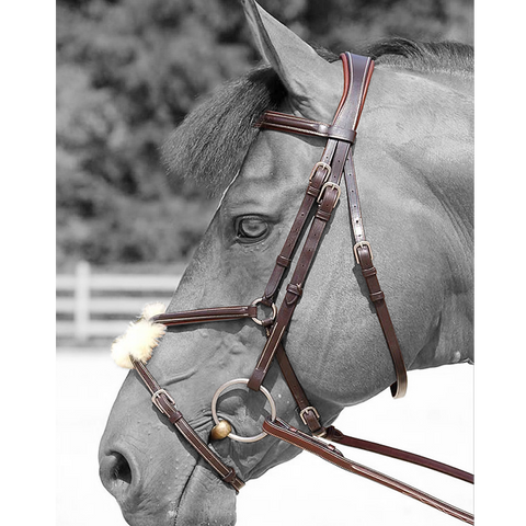 Dyon Classic Figure 8 Noseband Bridle