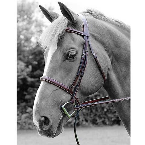 Cavesson Noseband Bridle by Dy'on