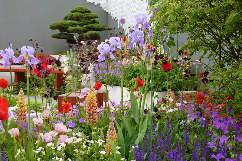 Rhs Chelsea Flower Show Tue 21st Sat 25th May 2019 Links Hospitality