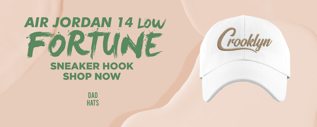 Fortune Low 14s Dad Hats to match Sneakers | Hats to match Fortune Low 14s Shoes