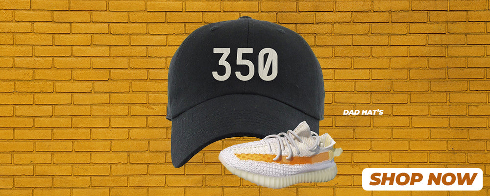 Light 350s v2 Dad Hats to match Sneakers | Hats to match Light 350s v2 Shoes