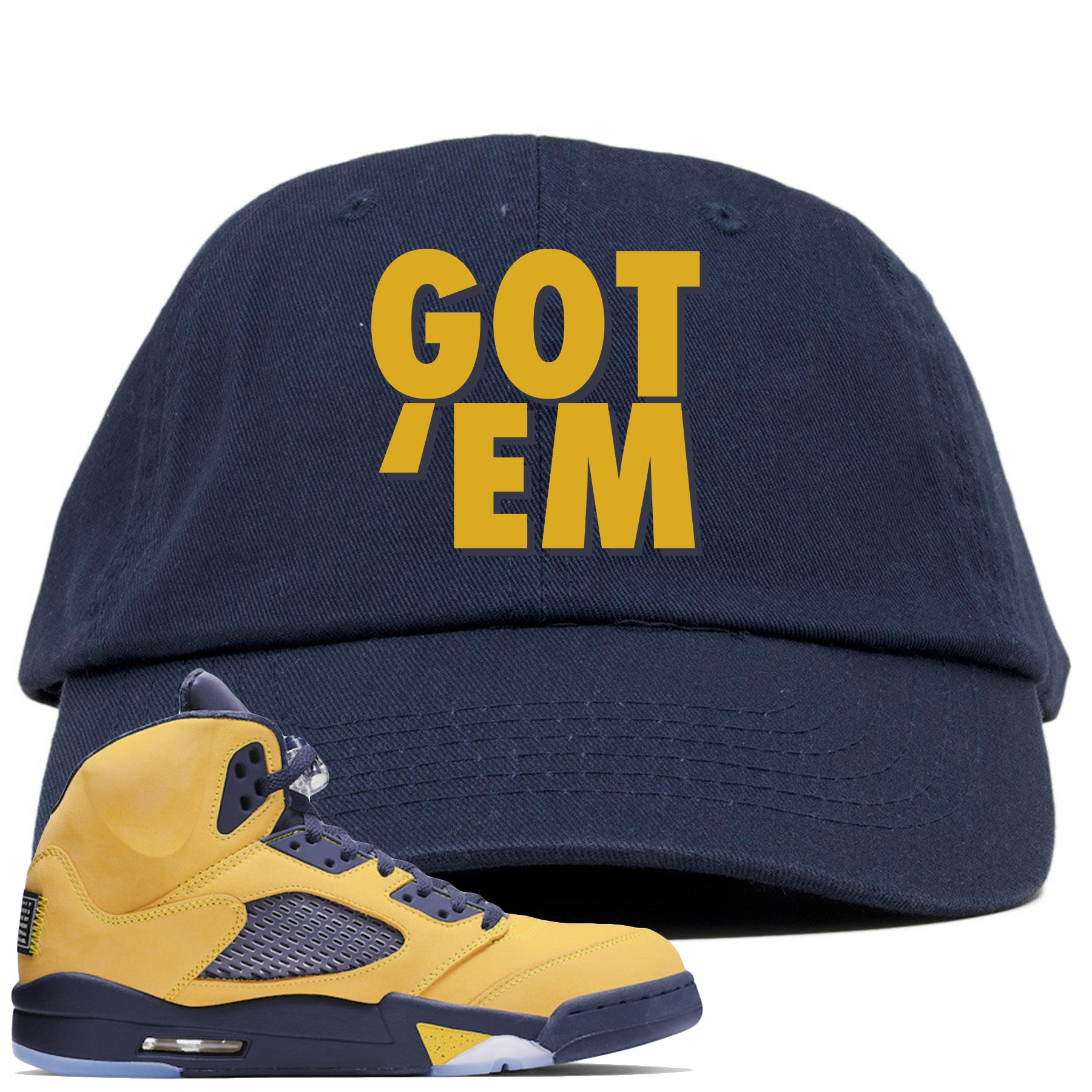 Air Jordan 5 Michigan Inspire Sneaker 