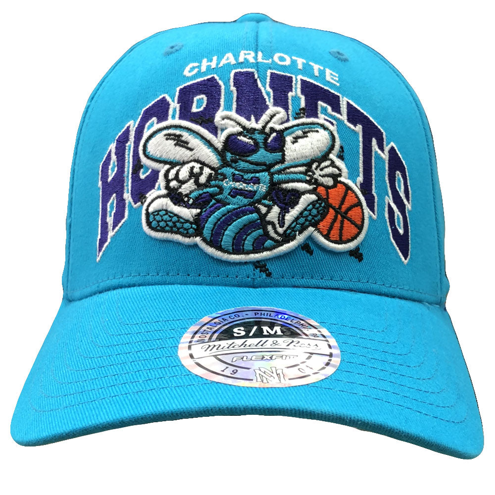 charlotte hornets throwback