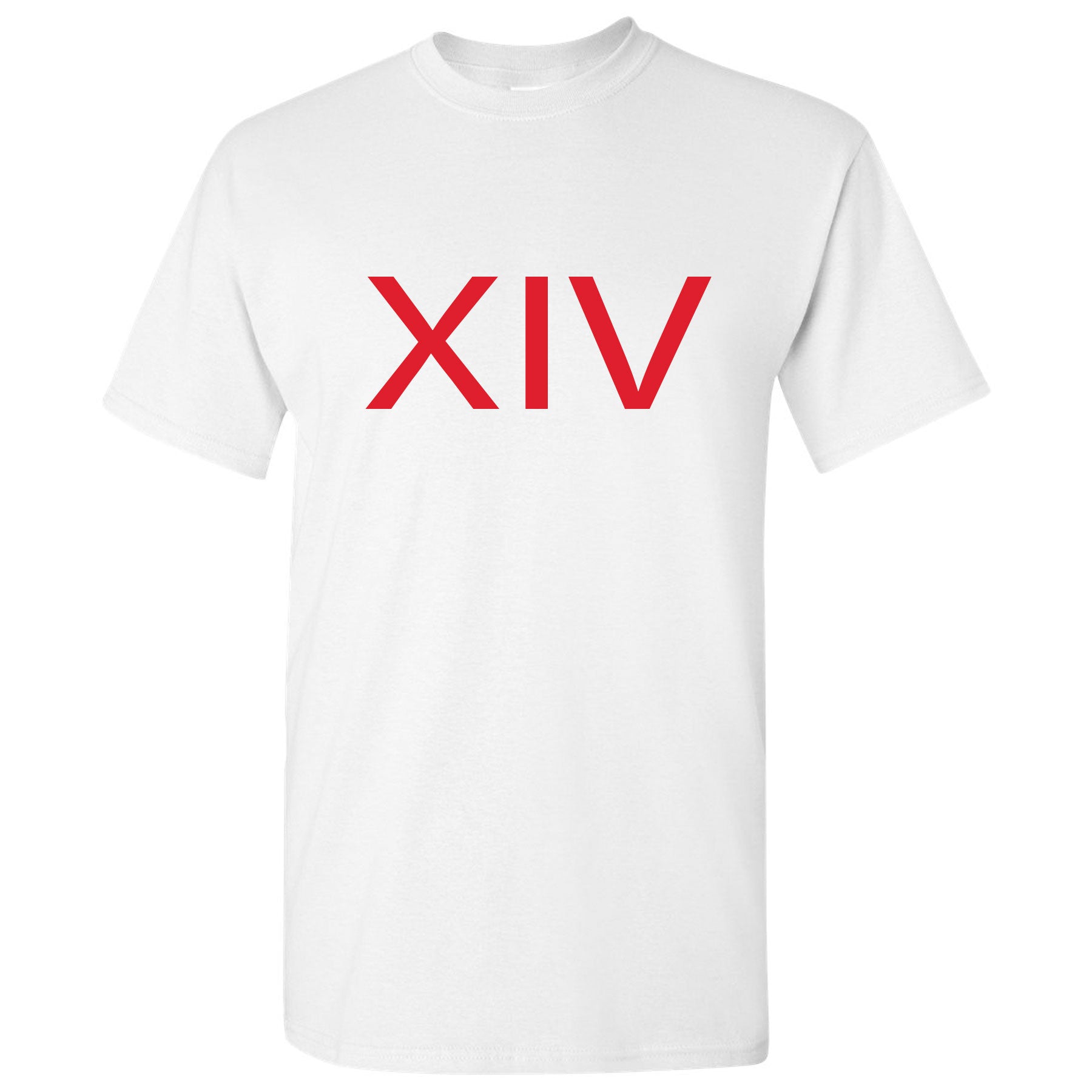 jordan 14 t shirt