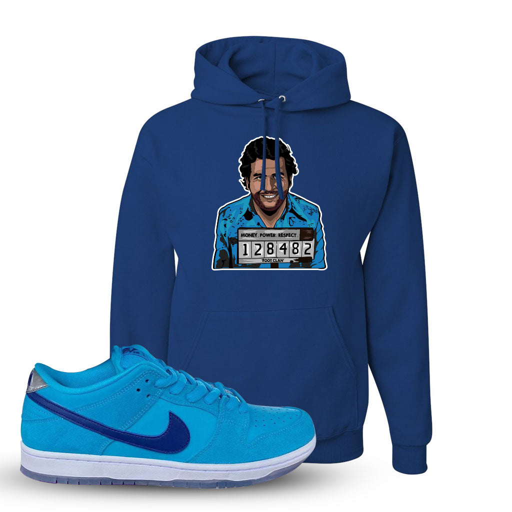 blue fury hoodie