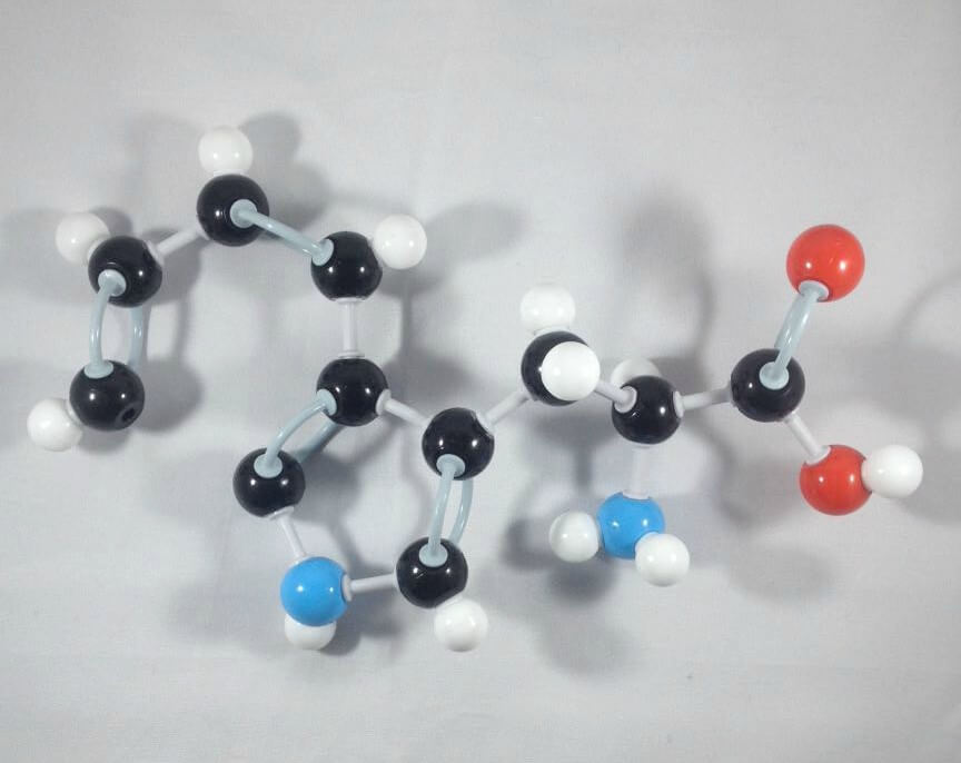 Tryptophan Molecule