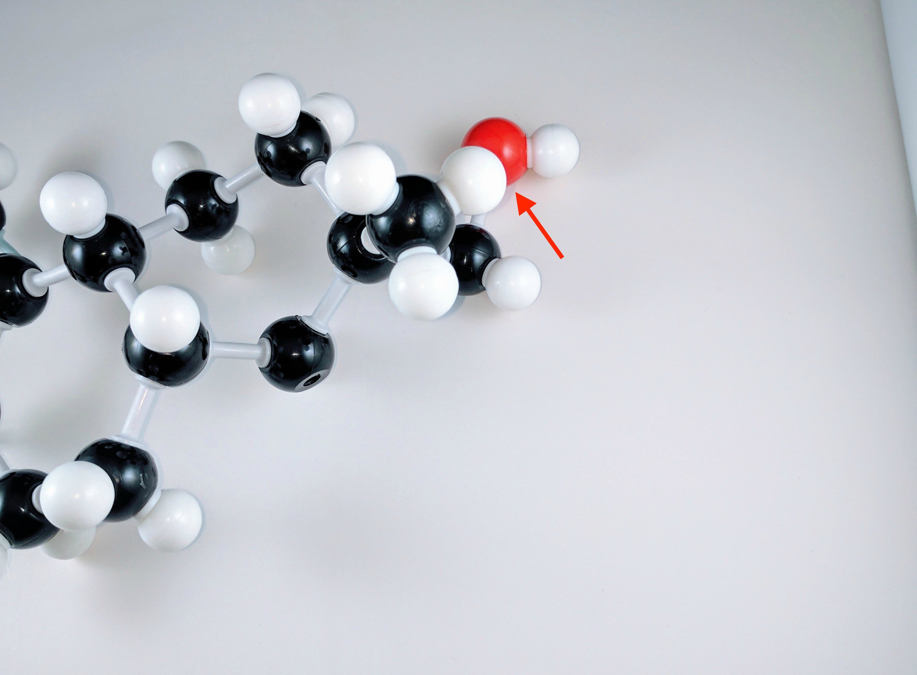 estradiol molecular model