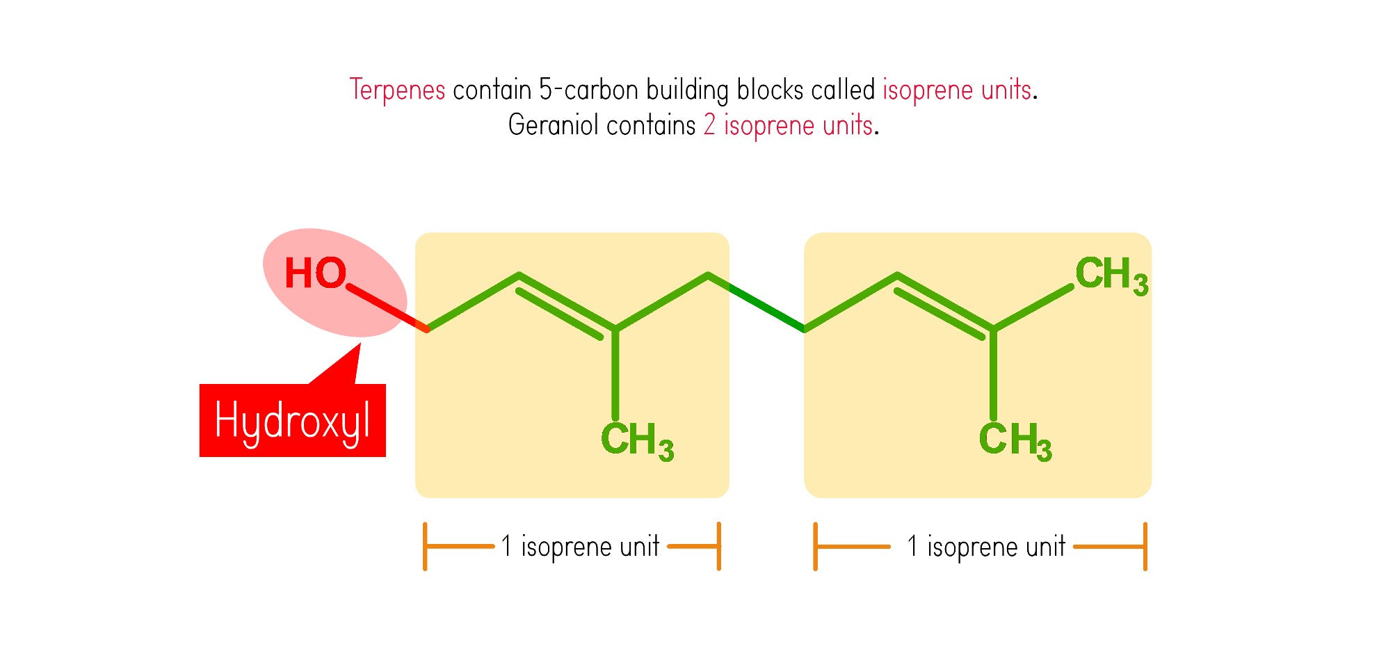 Lactic Acid Molecule