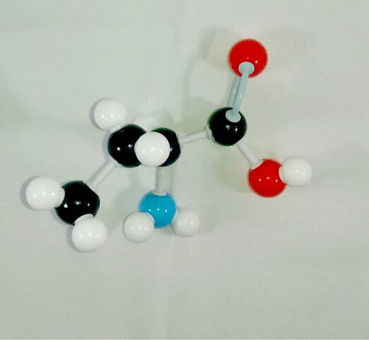 Arginine Molecule