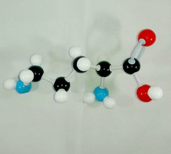 Arginine Molecule