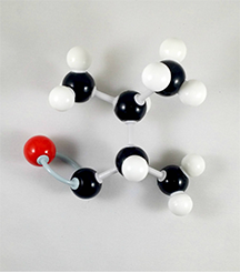 Menthone Molecule