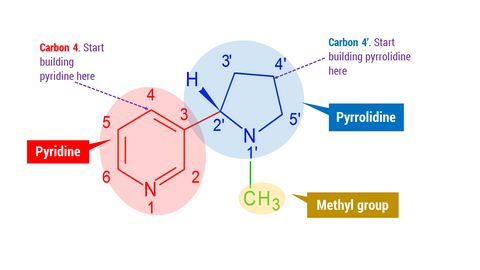 Nicotine Molecular Structure