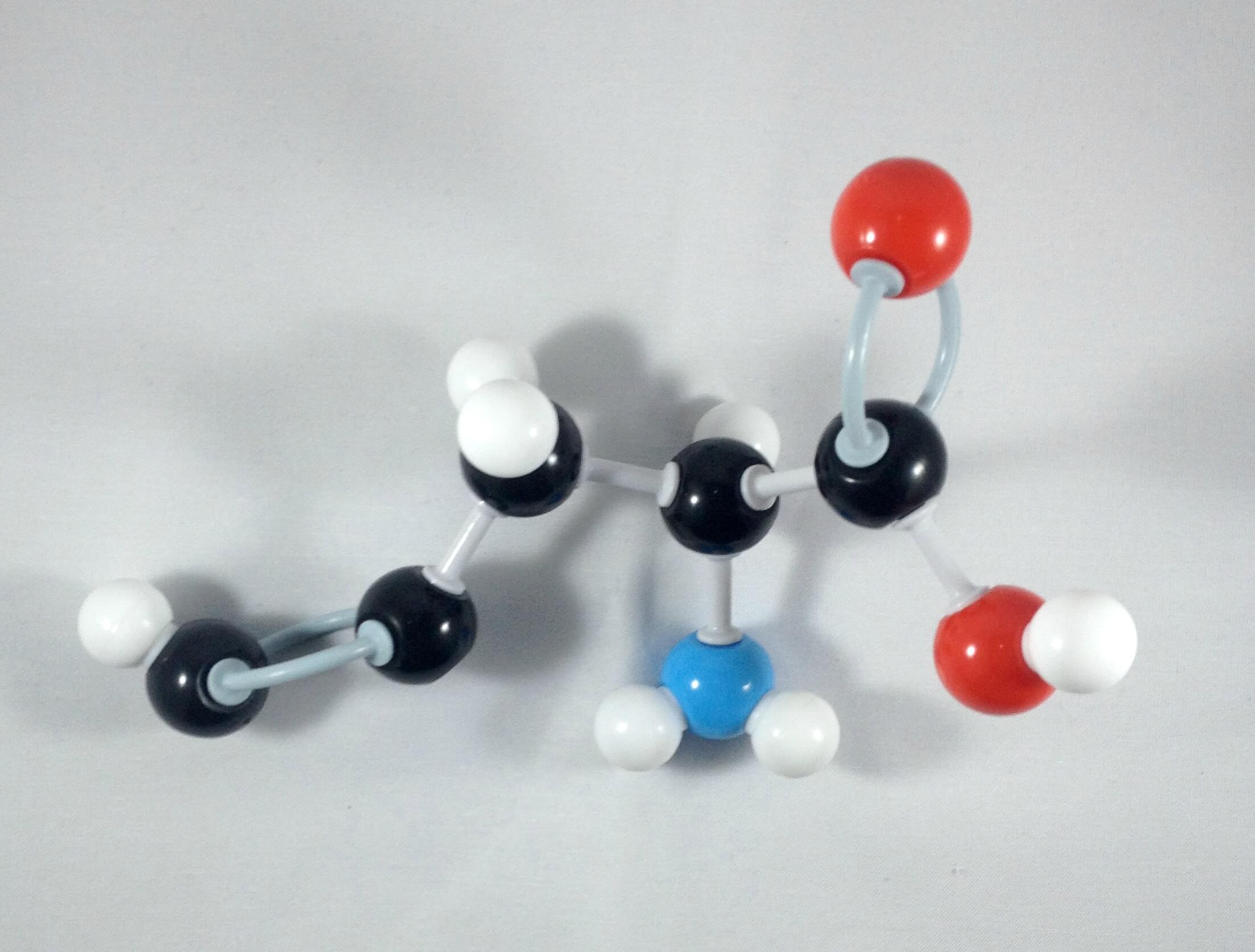 Tyrosine Molecule