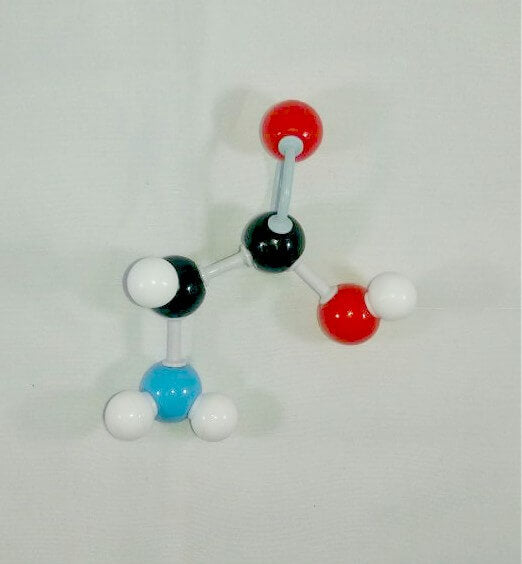 Arginine Molecule