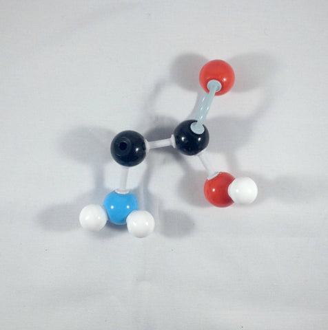 Tryptophan Molecule