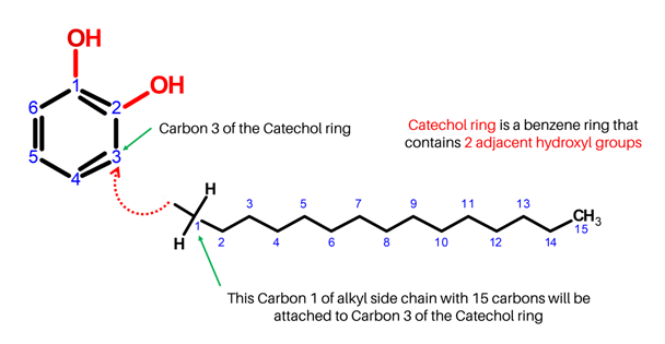 Urushiol Molecule