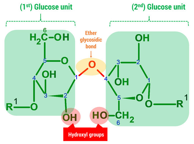 cellulose molecule 