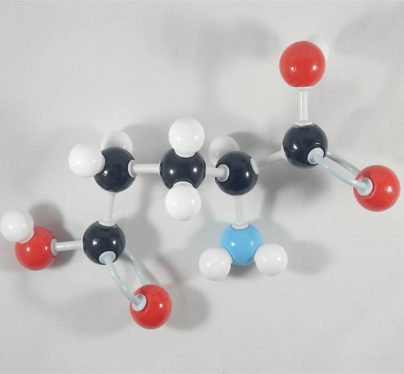 Glutamic Acid Molecule