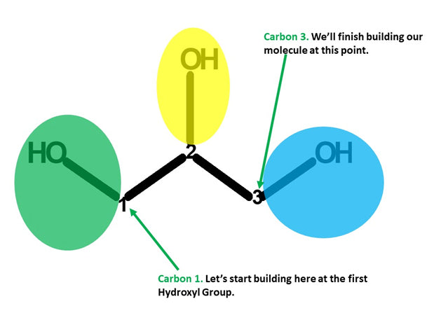 glycerol molecule 