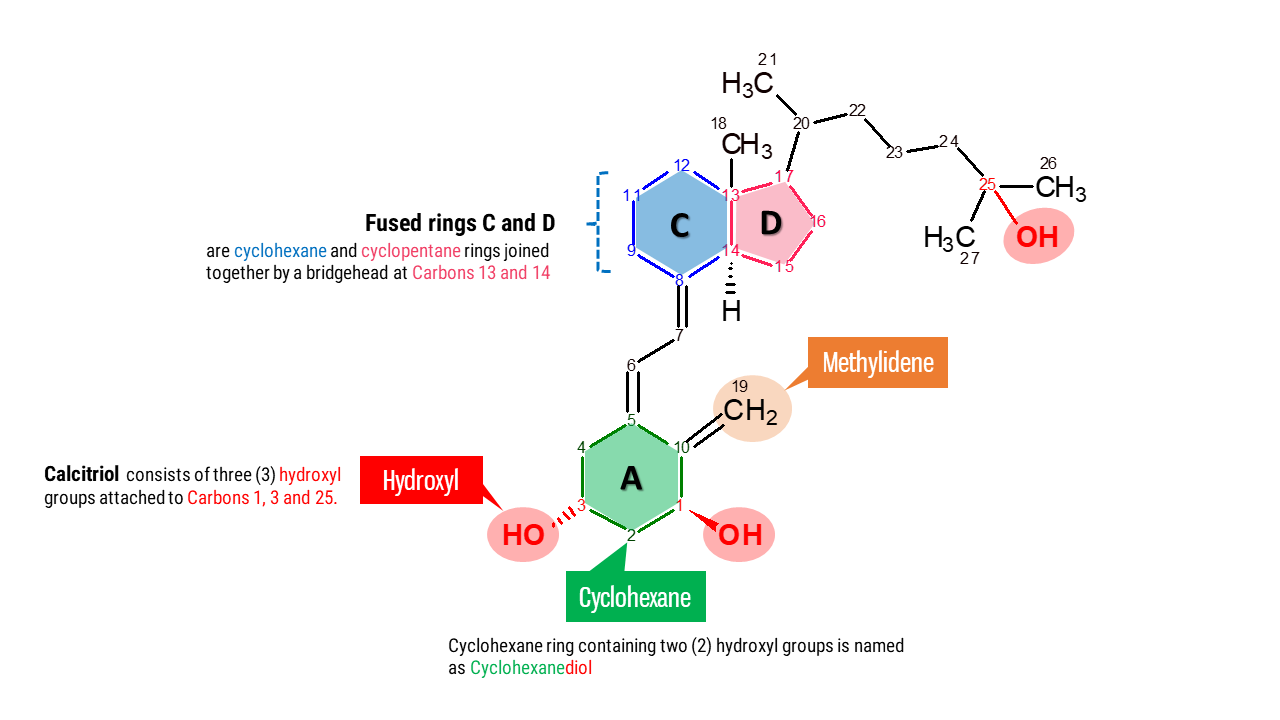 Calcitriol Molecule