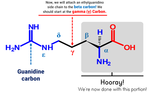 Arginine Duluth Labs